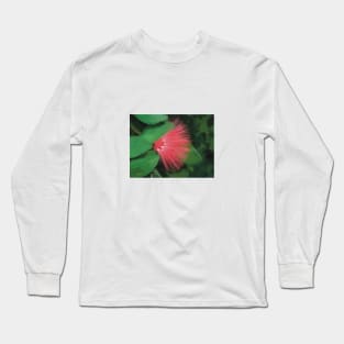 ‘Ōhi’a Lehua flower - digital painting Long Sleeve T-Shirt